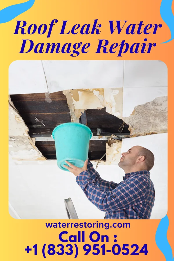 Roof Leak Water Damage Repair in Balta, ND